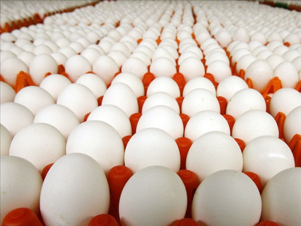 Mơ thấy trứng vịt là điềm báo gì? Đánh con số đề nào chắc ăn nhất? 