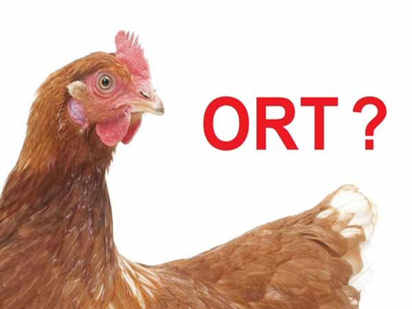 Ngăn ngừa bệnh ORT một cách hiệu quả nhất