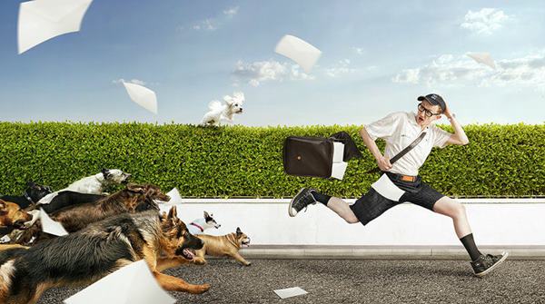 Bị chó chạy theo cắn Bị chó chạy theo cắn