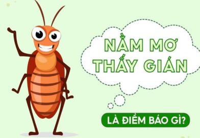 Nằm mơ thấy gián là điềm gì tốt xấu và số gì phát lộc