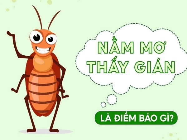 Nằm mơ thấy gián là điềm gì?